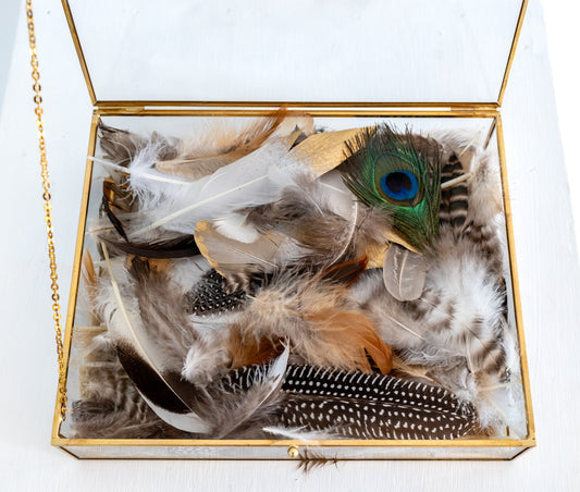 Hand Picked Feathers